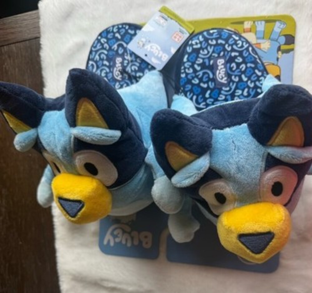 Brand New Bluey Slippers Size Medium NWT